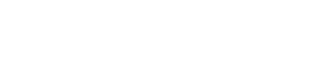 BIM Visions
